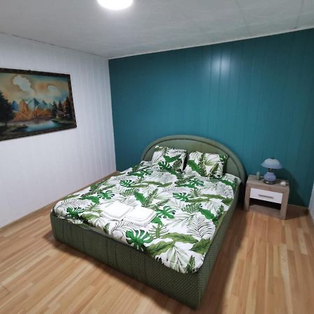 Noah Apartment Uricani  المظهر الخارجي الصورة